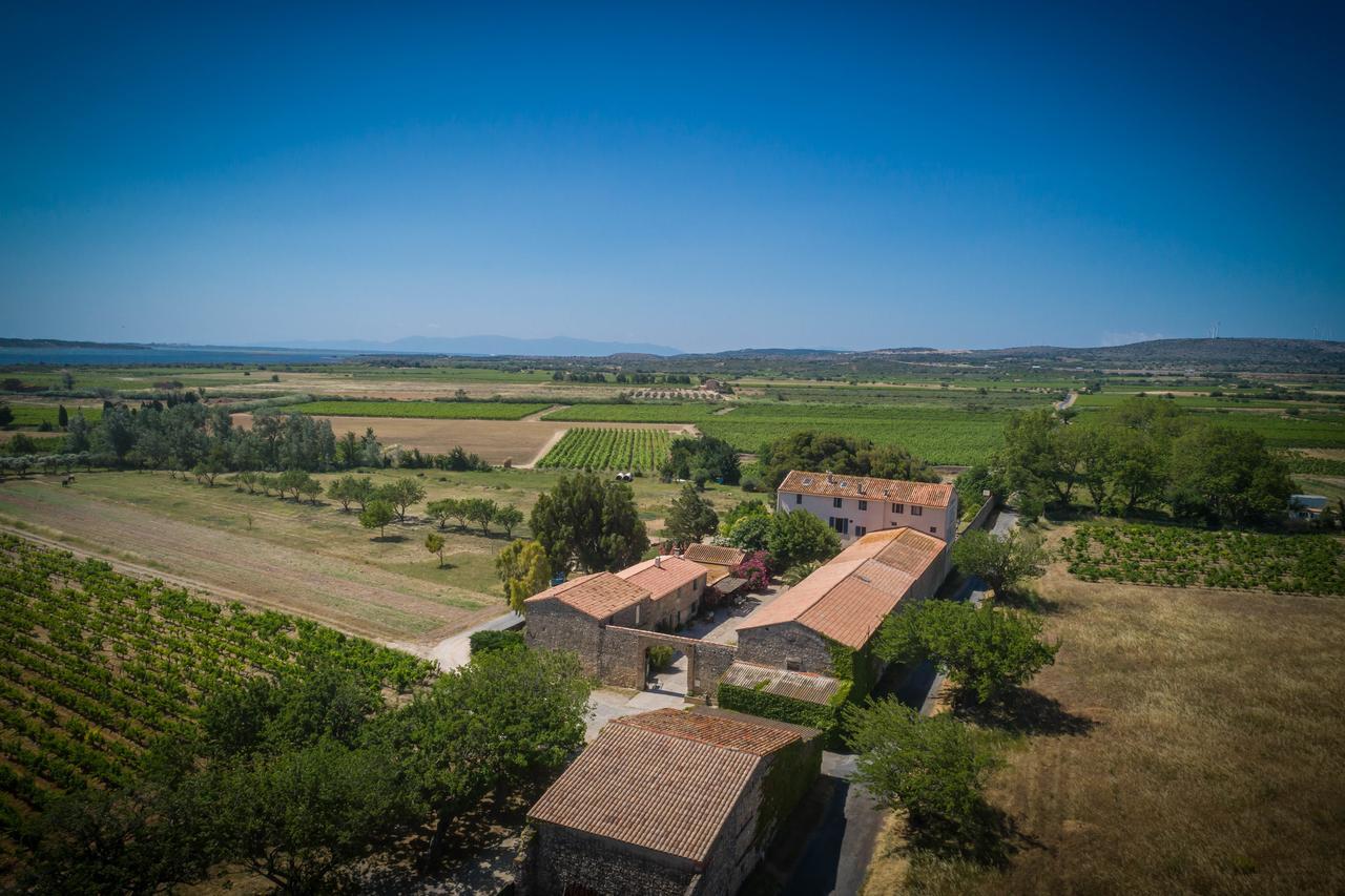 Les Fenals Villa Fitou Kültér fotó